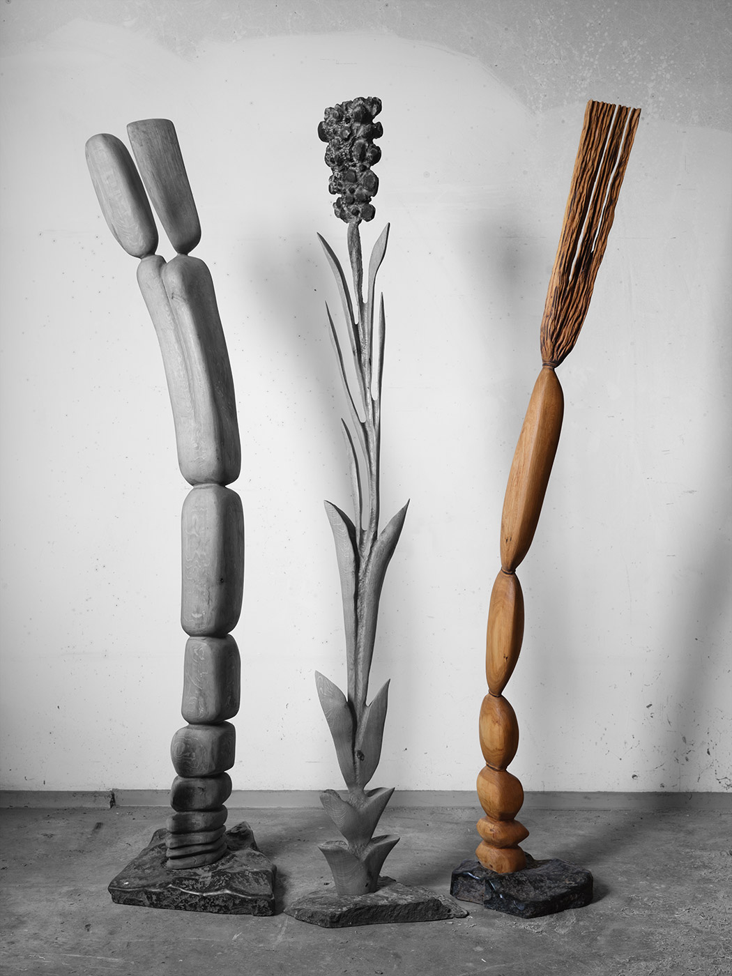 Gekrümmtes Wachstum