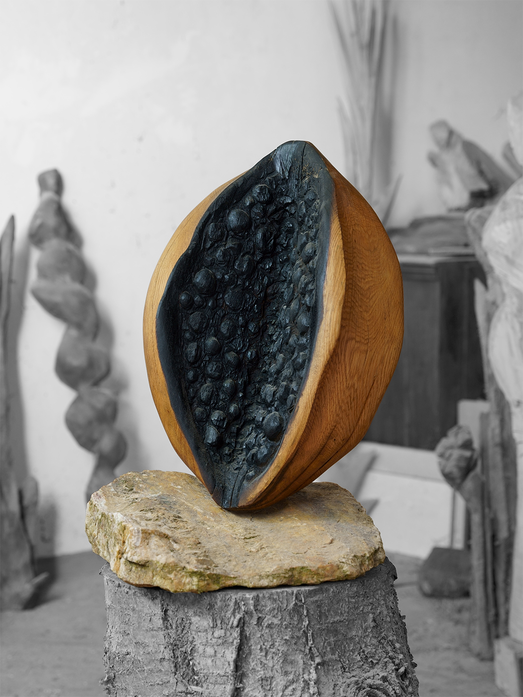 Black Fruit